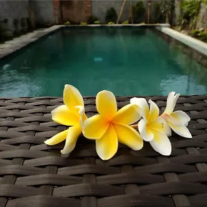 https://eka-bali-guest-house-ubud-bali.ubudhotelsnow.com